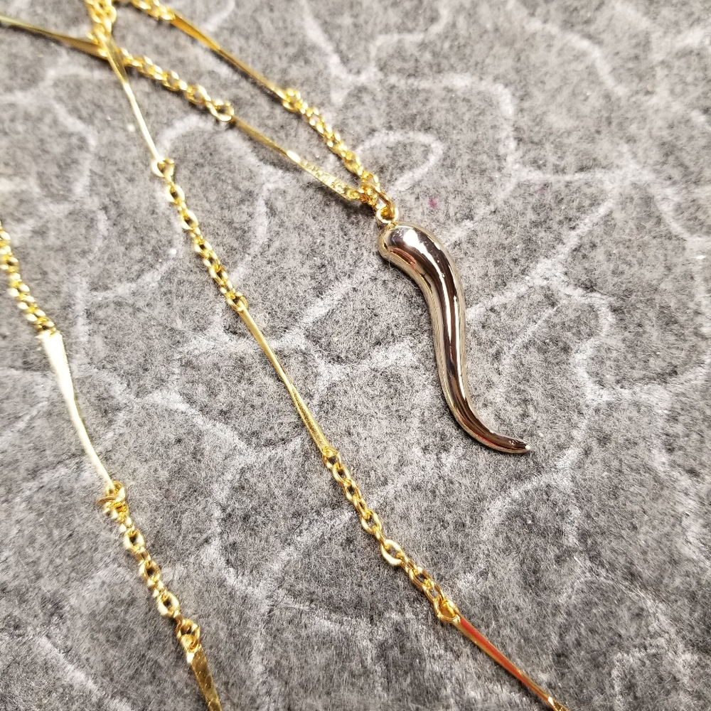 Gold Italian Horn necklace, 18" chain,Italian Horn,Chase Evil Spirits Away